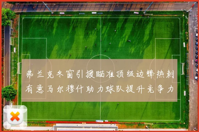 弗兰克冬窗引援瞄准顶级边锋热刺有意马尔穆什助力球队提升竞争力