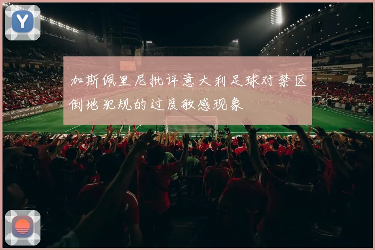 加斯佩里尼批评意大利足球对禁区倒地犯规的过度敏感现象