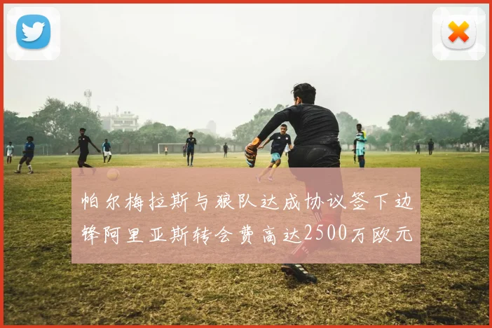 帕尔梅拉斯与狼队达成协议签下边锋阿里亚斯转会费高达2500万欧元