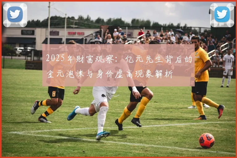 2025年财富观察:亿元先生背后的金元泡沫与身价虚高现象解析