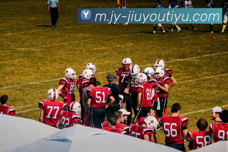 九游体育平台生态图