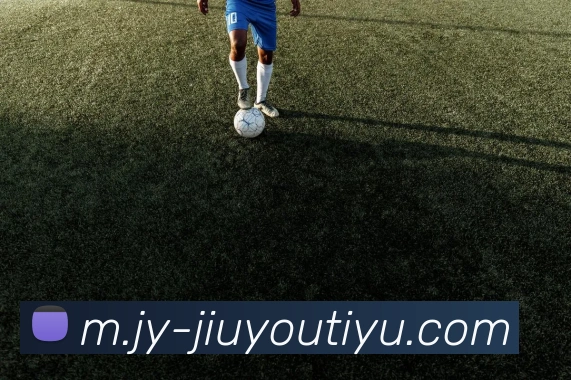 九游体育APP 封面图